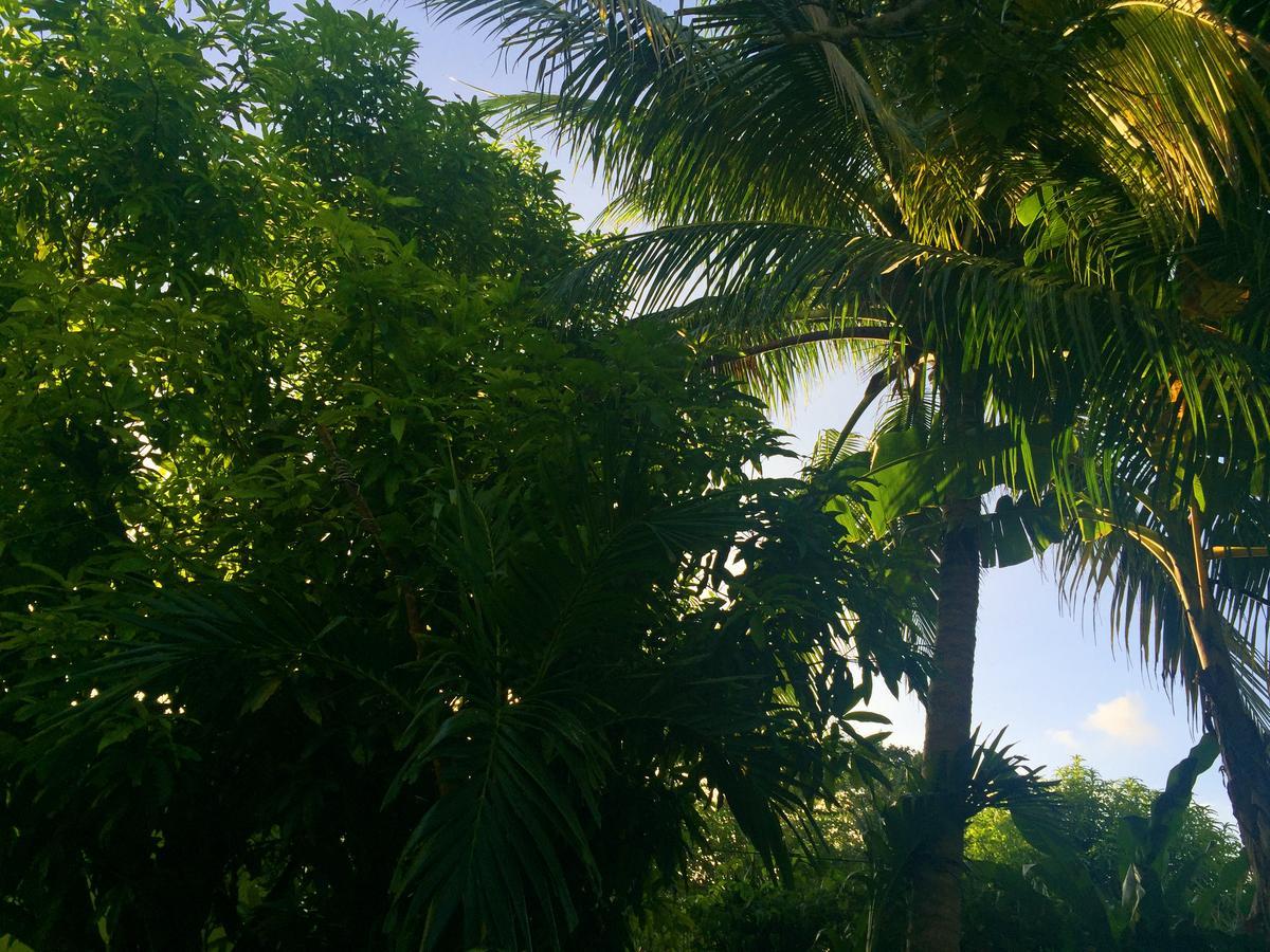 Yaad Hostel Montego Bay Buitenkant foto